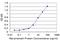 Lymphoid Enhancer Binding Factor 1 antibody, H00051176-M06, Novus Biologicals, Enzyme Linked Immunosorbent Assay image 