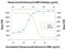 Growth Hormone Receptor antibody, MAB1210, R&D Systems, Western Blot image 