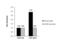 Estrogen Related Receptor Alpha antibody, NBP2-16380, Novus Biologicals, Chromatin Immunoprecipitation image 
