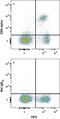 CD8 antibody, BAM116, R&D Systems, Flow Cytometry image 