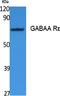 Gamma-Aminobutyric Acid Type A Receptor Epsilon Subunit antibody, A09362, Boster Biological Technology, Western Blot image 
