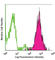 CD70 Molecule antibody, 104606, BioLegend, Flow Cytometry image 