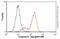 Caspase 9 antibody, ab32539, Abcam, Flow Cytometry image 