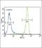 Ras antibody, PA5-14833, Invitrogen Antibodies, Flow Cytometry image 