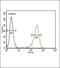 Ornithine Aminotransferase antibody, PA5-35370, Invitrogen Antibodies, Flow Cytometry image 