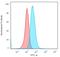 CD79a antibody, GTX34562, GeneTex, Flow Cytometry image 