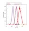 Ephrin A4 antibody, 34-3700, Invitrogen Antibodies, Flow Cytometry image 