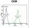 Potassium Voltage-Gated Channel Modifier Subfamily V Member 1 antibody, LS-C165451, Lifespan Biosciences, Flow Cytometry image 