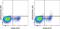 Natural Cytotoxicity Triggering Receptor 2 antibody, 48-3369-41, Invitrogen Antibodies, Flow Cytometry image 