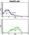 Ephrin type-A receptor 1 antibody, LS-C100253, Lifespan Biosciences, Flow Cytometry image 