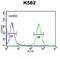 ATPase H+/K+ Transporting Subunit Beta antibody, abx032433, Abbexa, Flow Cytometry image 