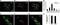 Transient Receptor Potential Cation Channel Subfamily A Member 1 antibody, NB100-98841, Novus Biologicals, Immunofluorescence image 