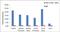 Apurinic/Apyrimidinic Endodeoxyribonuclease 1 antibody, PA5-17233, Invitrogen Antibodies, Chromatin Immunoprecipitation image 