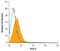 Patatin Like Phospholipase Domain Containing 2 antibody, MAB5387, R&D Systems, Western Blot image 