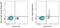 CD1c Molecule antibody, 64-0015-42, Invitrogen Antibodies, Flow Cytometry image 