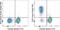 CD5 Molecule antibody, 63-0051-82, Invitrogen Antibodies, Flow Cytometry image 