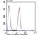 Ubiquitin Specific Peptidase 13 antibody, NBP2-75699, Novus Biologicals, Flow Cytometry image 