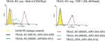 TNF Receptor Superfamily Member 10c antibody, ALX-804-344A-C100, Enzo Life Sciences, Flow Cytometry image 