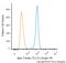 Tubulin antibody, NB600-506, Novus Biologicals, Flow Cytometry image 