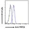 Transient Receptor Potential Cation Channel Subfamily C Member 6 antibody, 46-530, ProSci, Enzyme Linked Immunosorbent Assay image 