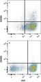 C-X-C Motif Chemokine Receptor 6 antibody, MAB699-100, R&D Systems, Flow Cytometry image 