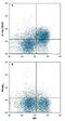 Interleukin 7 Receptor antibody, FAB47742N, R&D Systems, Flow Cytometry image 