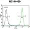 Phosphatidylinositol-3,4,5-Trisphosphate Dependent Rac Exchange Factor 1 antibody, abx026896, Abbexa, Western Blot image 