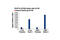 SPT16 Homolog, Facilitates Chromatin Remodeling Subunit antibody, 12191S, Cell Signaling Technology, Chromatin Immunoprecipitation image 