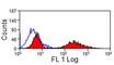 Rano class II histocompatibility antigen, A beta chain antibody, MCA1085GA, Bio-Rad (formerly AbD Serotec) , Immunoprecipitation image 