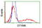 Thymidylate kinase antibody, CF503493, Origene, Flow Cytometry image 
