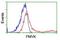 Phosphomevalonate Kinase antibody, NBP2-01157, Novus Biologicals, Flow Cytometry image 