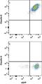 Claudin 6 antibody, MAB3656, R&D Systems, Flow Cytometry image 