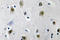 Zinc Finger Protein 148 antibody, LS-C177030, Lifespan Biosciences, Immunohistochemistry paraffin image 