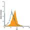 Trophoblast Glycoprotein antibody, AF5049, R&D Systems, Flow Cytometry image 