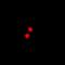 PR/SET Domain 5 antibody, abx141975, Abbexa, Western Blot image 