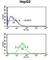 Pre-MRNA Processing Factor 38A antibody, abx034575, Abbexa, Western Blot image 