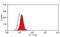 CD276 Molecule antibody, GTX42149, GeneTex, Flow Cytometry image 