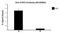 Signal Transducer And Activator Of Transcription 2 antibody, 693303, BioLegend, Chromatin Immunoprecipitation image 