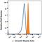 Actin Alpha 2, Smooth Muscle antibody, IC1420P, R&D Systems, Flow Cytometry image 
