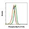 Lymphocyte Cytosolic Protein 2 antibody, MA5-28019, Invitrogen Antibodies, Flow Cytometry image 