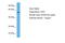 EYA Transcriptional Coactivator And Phosphatase 1 antibody, ARP32434_P050, Aviva Systems Biology, Western Blot image 