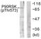 Ribosomal Protein S6 Kinase A1 antibody, 79-791, ProSci, Western Blot image 