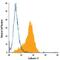 Cadherin 11 antibody, FAB17901P, R&D Systems, Flow Cytometry image 