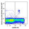 Interleukin 3 Receptor Subunit Alpha antibody, 306022, BioLegend, Flow Cytometry image 