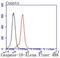 Caspase 10 antibody, NBP2-67878, Novus Biologicals, Flow Cytometry image 