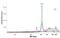 Insulin Like Growth Factor 2 MRNA Binding Protein 1 antibody, NBP2-38956, Novus Biologicals, Western Blot image 