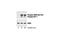 CAMP Responsive Element Binding Protein 1 antibody, 9191S, Cell Signaling Technology, Western Blot image 