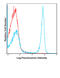 Ly76 antibody, 77-080, ProSci, Flow Cytometry image 