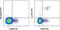 Killer cell lectin-like receptor 4 antibody, 17-5782-80, Invitrogen Antibodies, Flow Cytometry image 