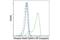 Signal Transducer And Activator Of Transcription 6 antibody, 99902S, Cell Signaling Technology, Flow Cytometry image 